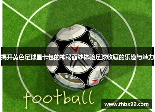 揭开黄色足球星卡包的神秘面纱体验足球收藏的乐趣与魅力