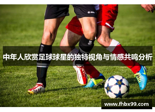 中年人欣赏足球球星的独特视角与情感共鸣分析
